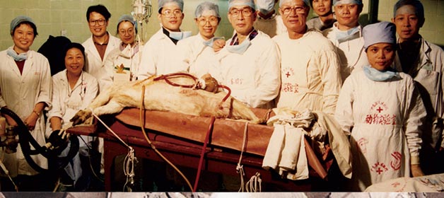 1991年-筹建的左心辅助循环实验室