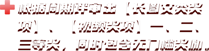 红十字日